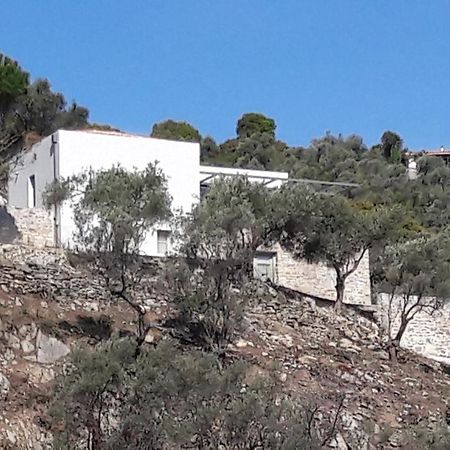 Villa House Λ à Moni Evaggelistrias Extérieur photo