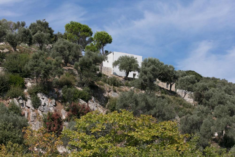 Villa House Λ à Moni Evaggelistrias Extérieur photo