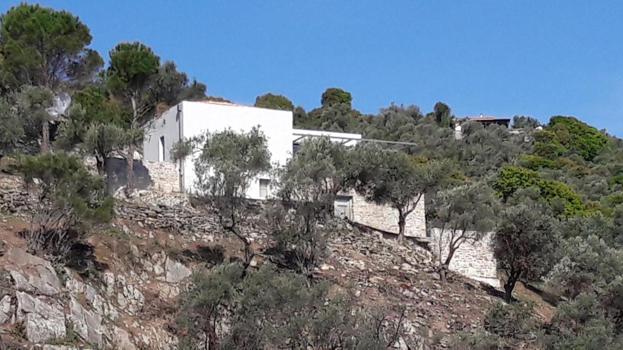 Villa House Λ à Moni Evaggelistrias Extérieur photo